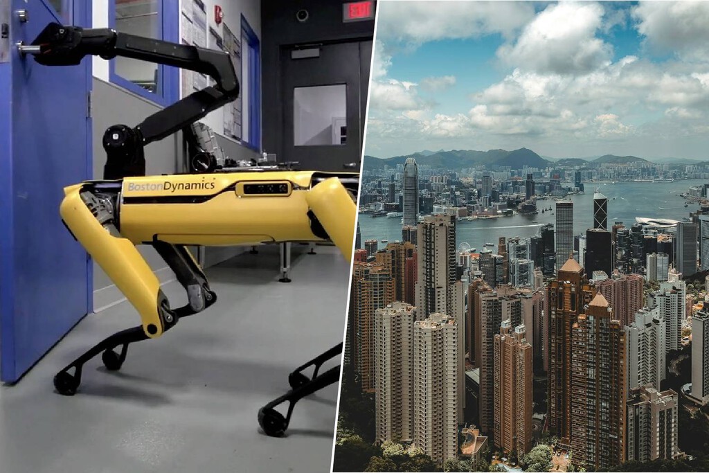 Hong Kong afronta una enorme crisis de salud pública por el virus chikungunya. Su solución: un ejército de perros robot